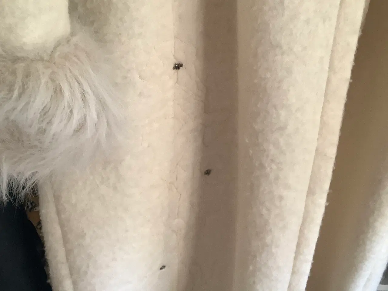 Billede 6 - Lækker uld frakke.  