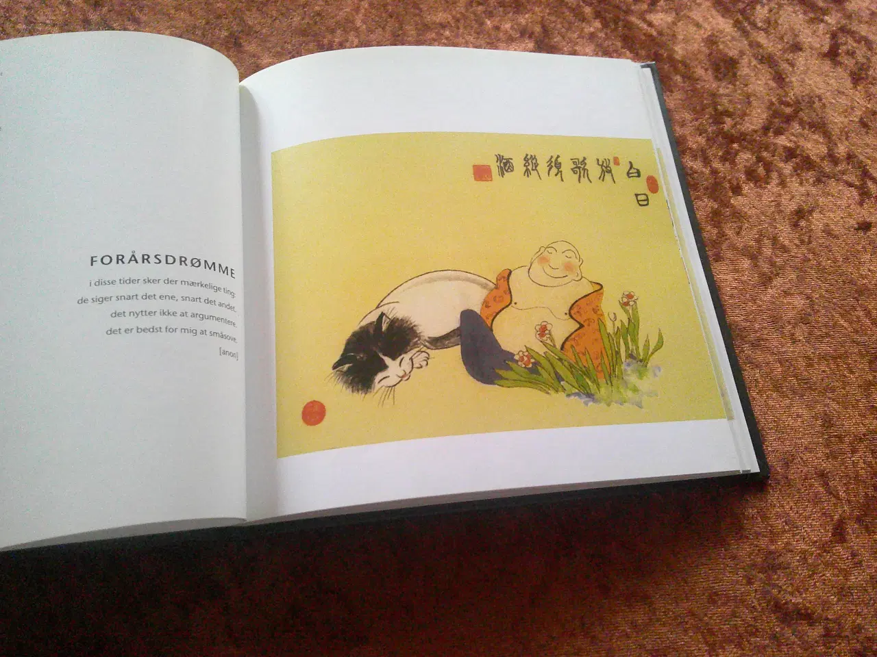 Billede 4 - Katten og Tao, Kuen Shan Kwong,