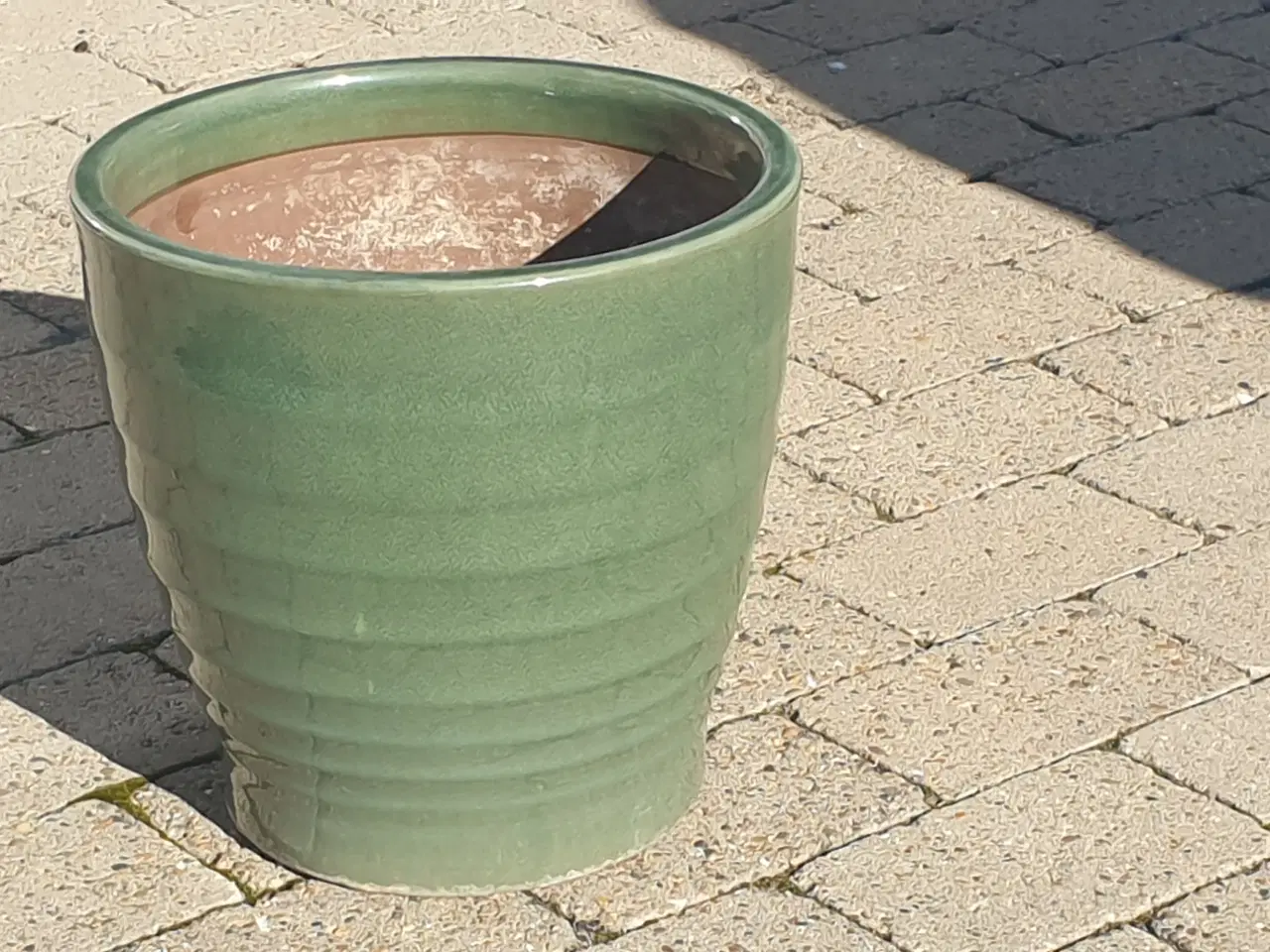 Billede 2 - Havekrukke grøn