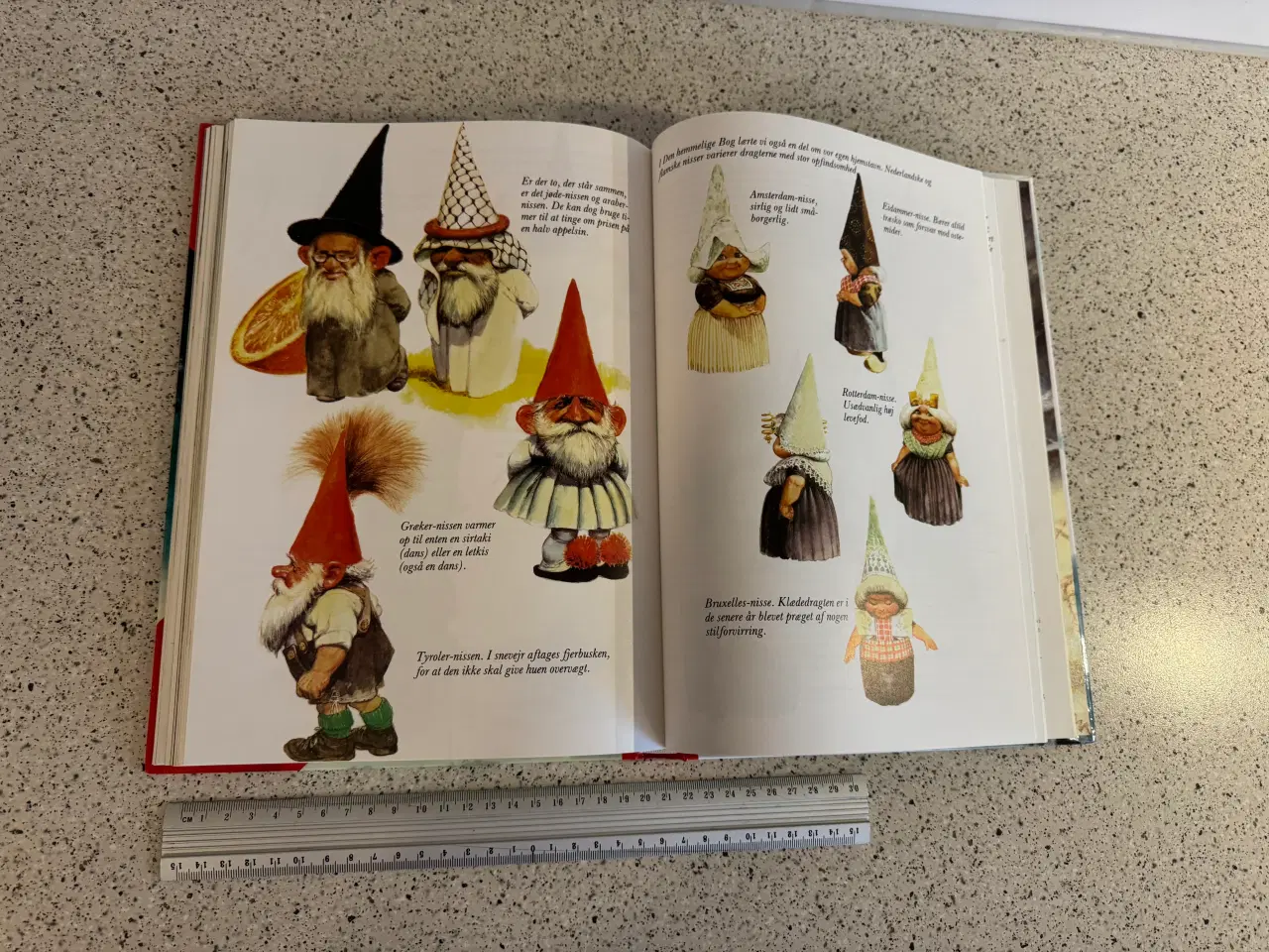 Billede 3 - NISSERNES hemmelige bog