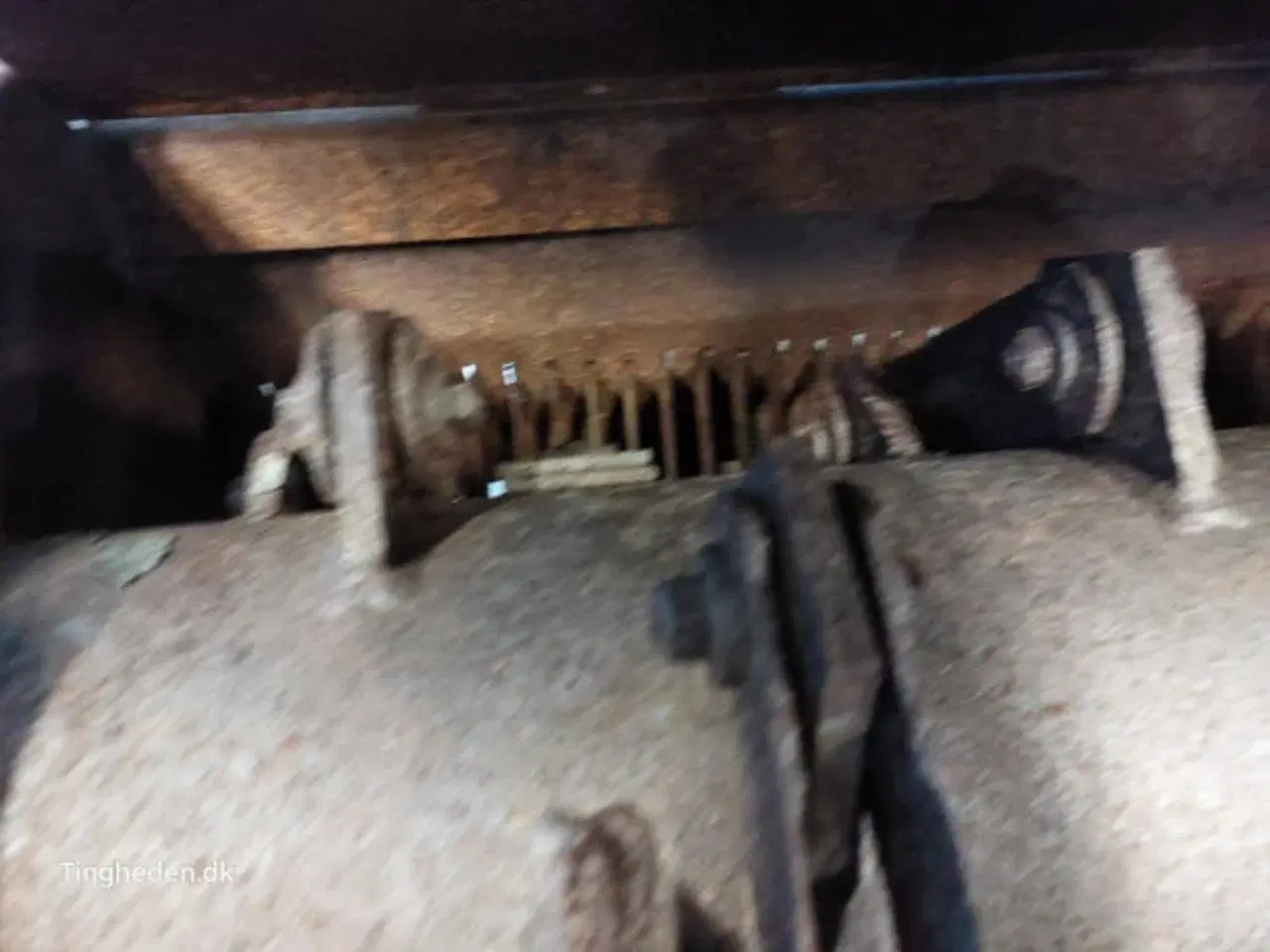 Billede 13 - Massey Ferguson 7274 Snitter 49070165