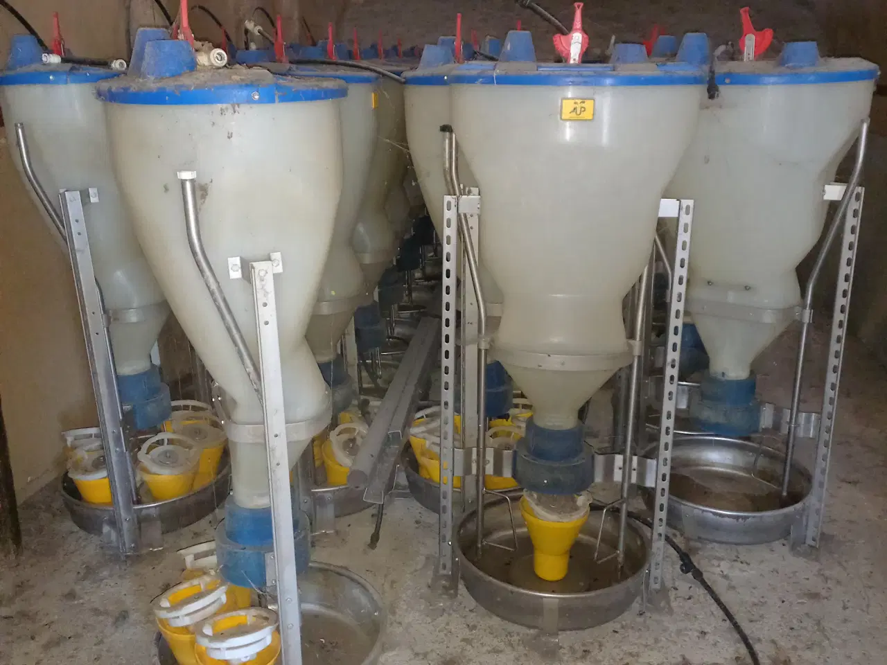 Billede 2 - AP foderautomater 25stk