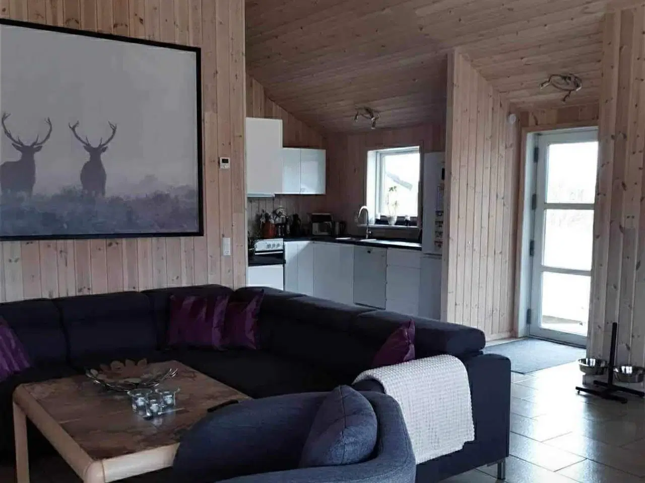 Billede 7 - Sommerhus udlejes …..hund tilladt