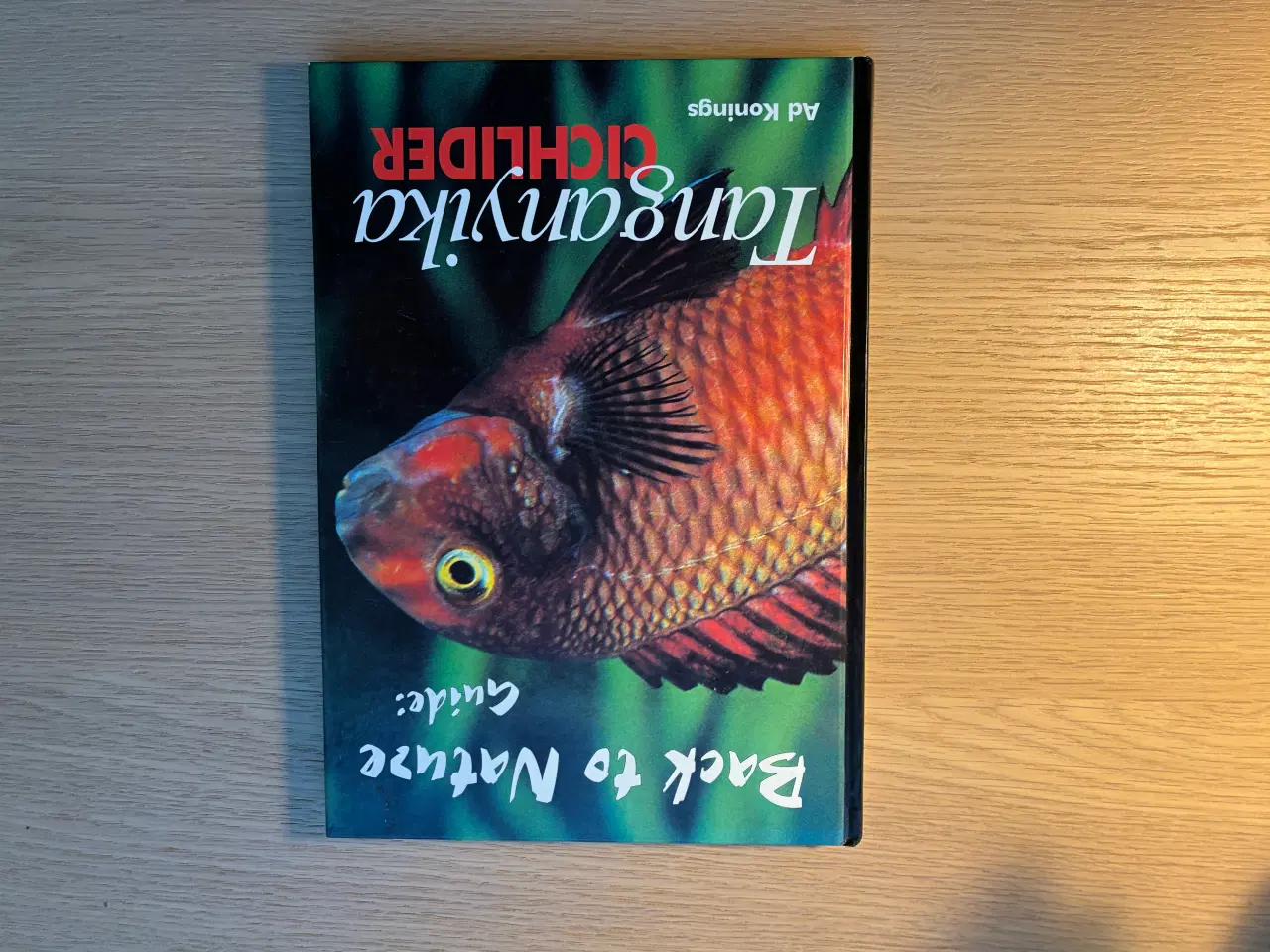 Billede 2 - Tanganyika Cichlider - Back to Nature Guide