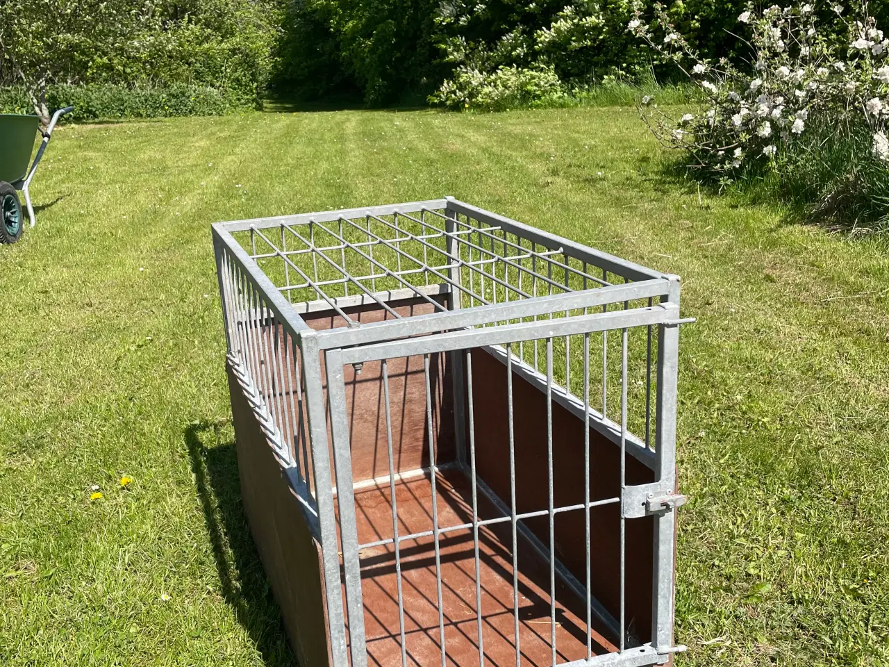 Billede 1 - Transport til stor hund