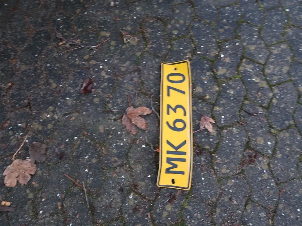 Billede 9 - Skurvogn VARIANT V