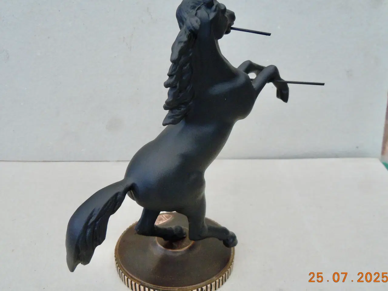 Billede 7 - Colt, stejlende hest .