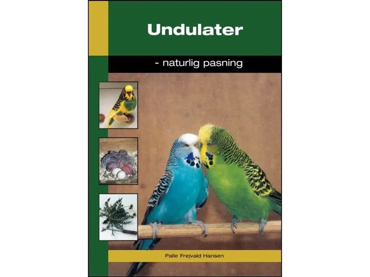 Billede 1 - Undulater - Naturlig Pasning