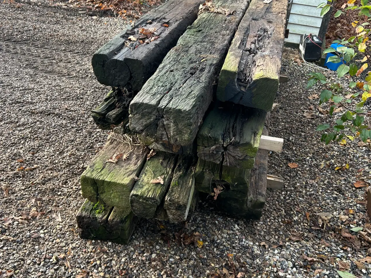 Billede 2 - Træ svæller