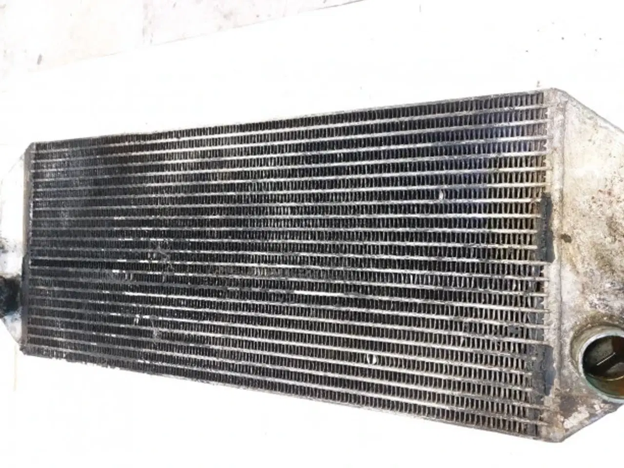 Billede 4 - Merlo P40.7 Køler 052872