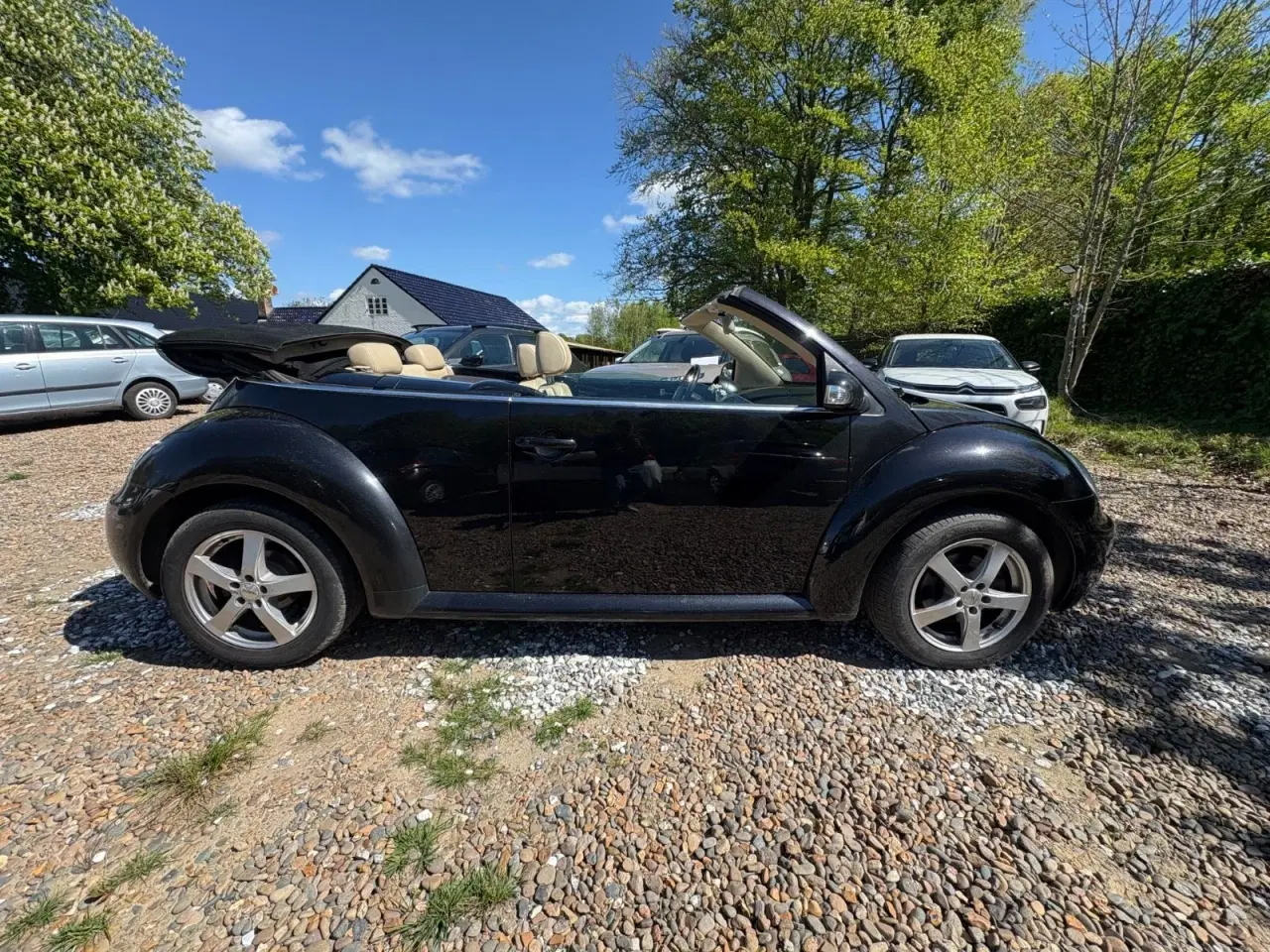 Billede 6 - VW New Beetle 1,9 TDi 100 Cabriolet