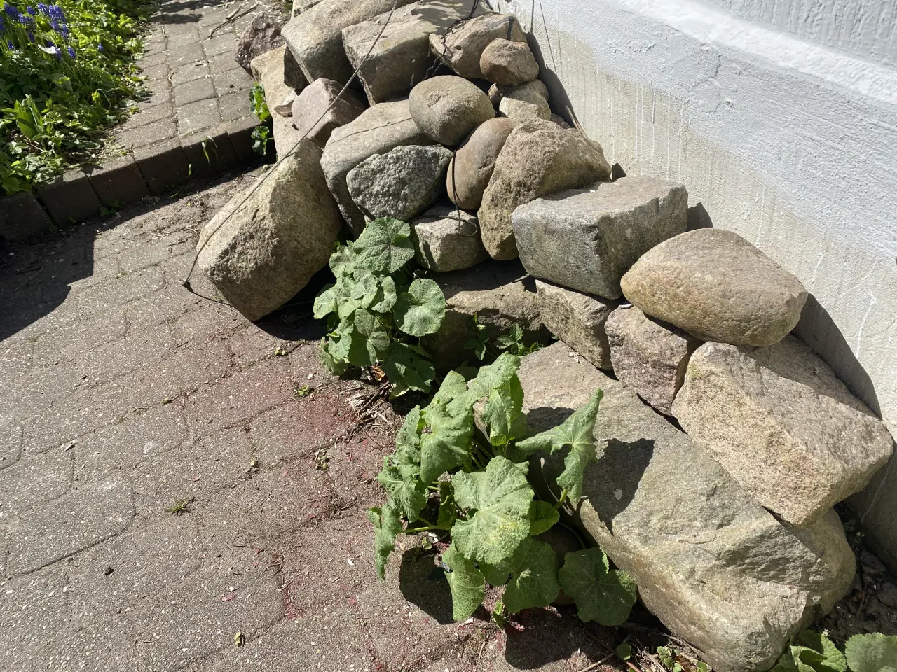 Billede 2 - Granit - brosten og større kantsten