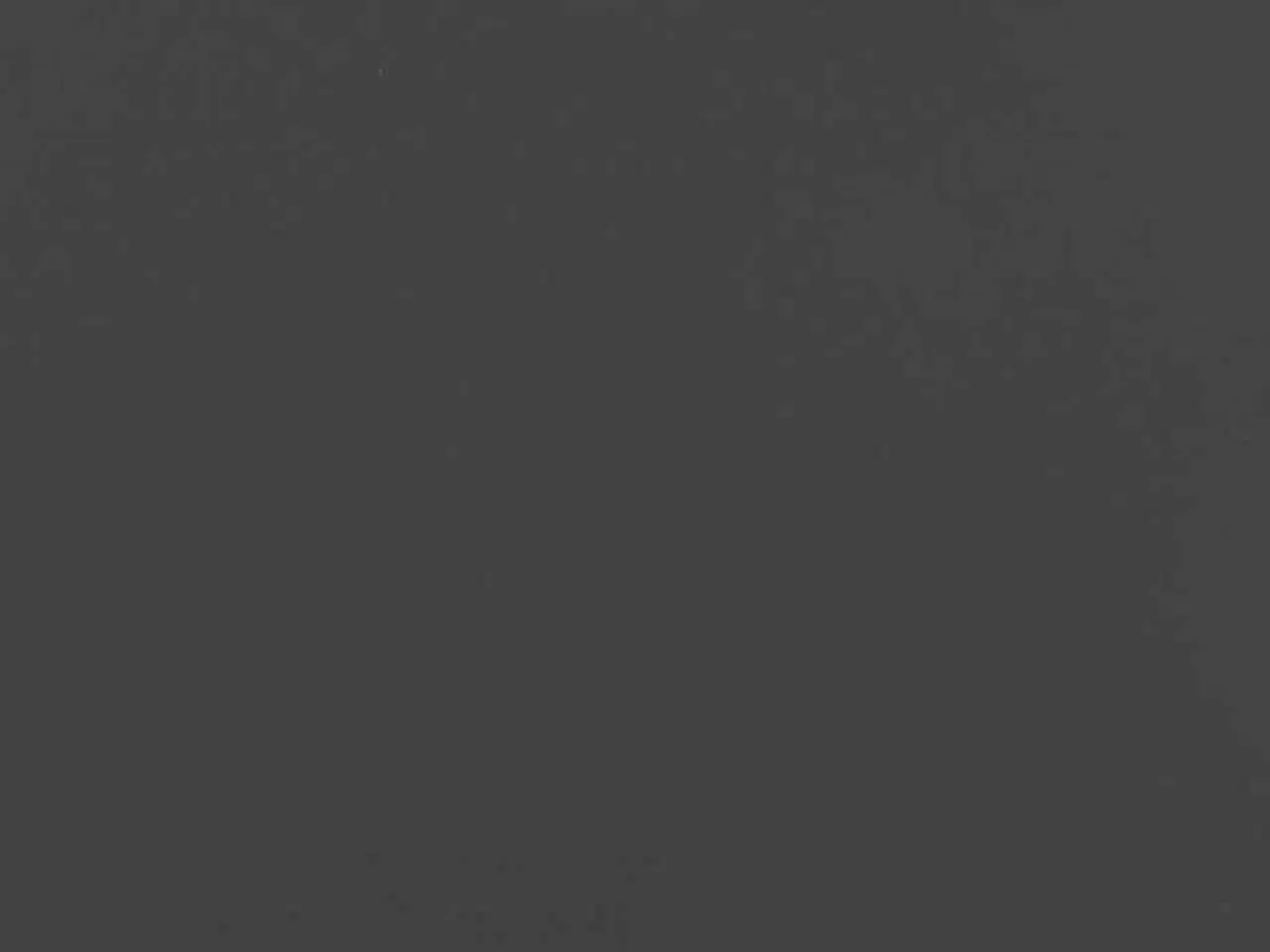 Billede 8 - Plantekasse 360x80x40 cm stål sort