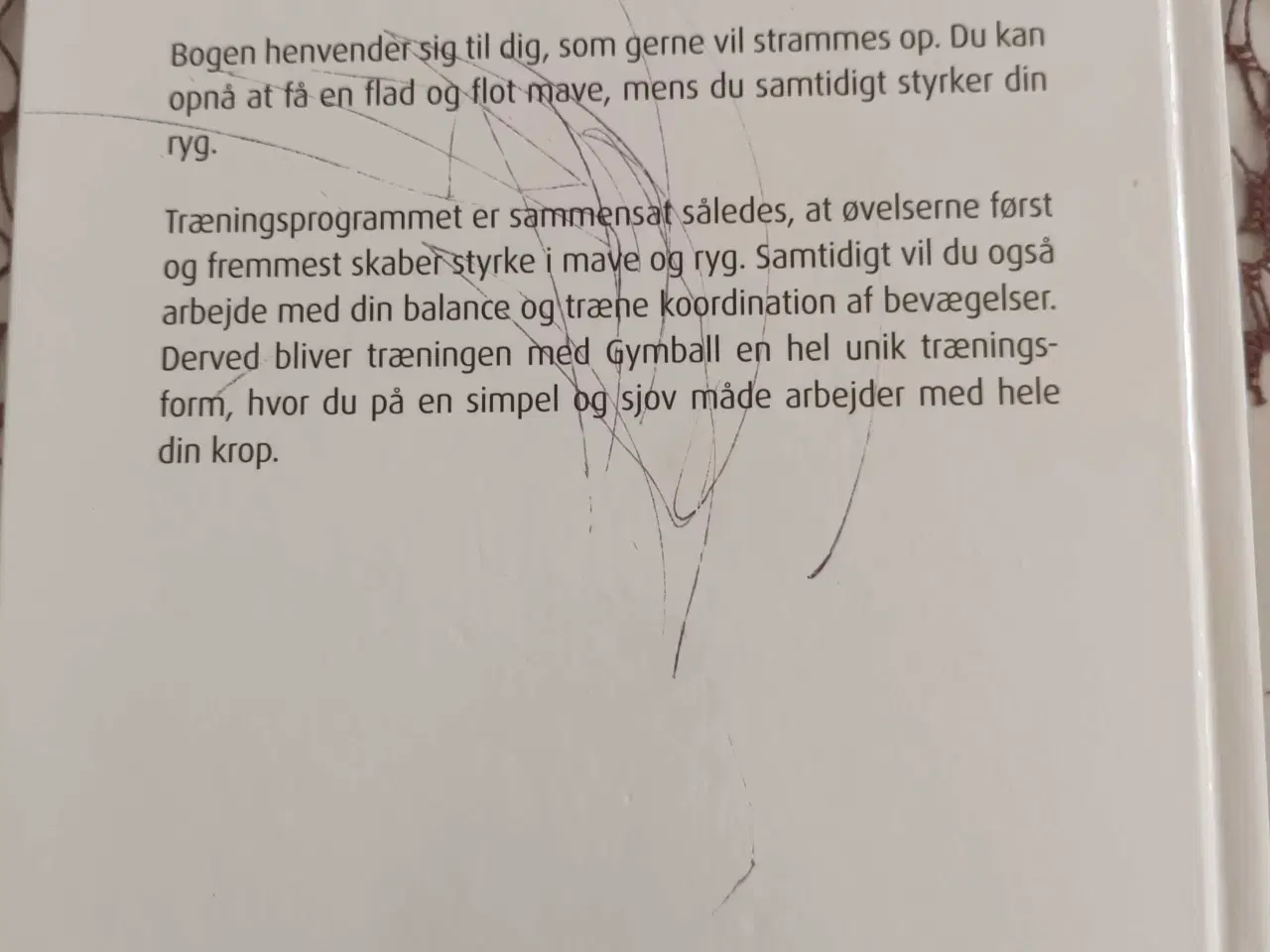 Billede 2 - Flad mave & stærk ryg med gymball