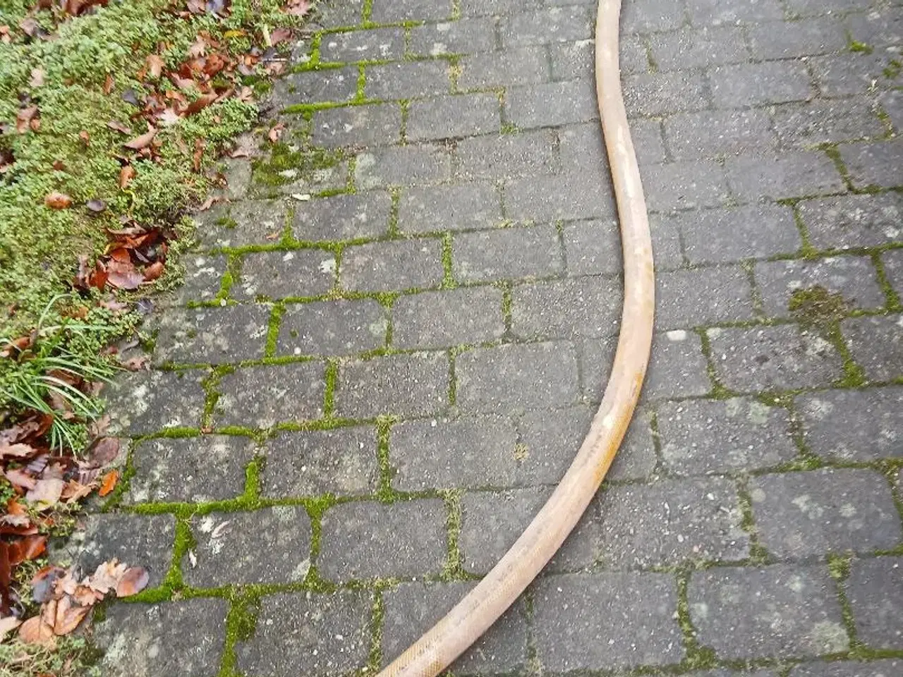 Billede 2 - udstødnings slange