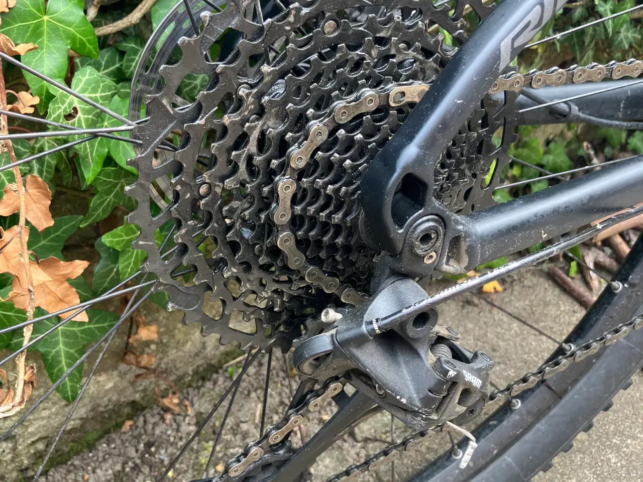 Billede 7 - Ridley Ignite A9 Sx eagle mtb 