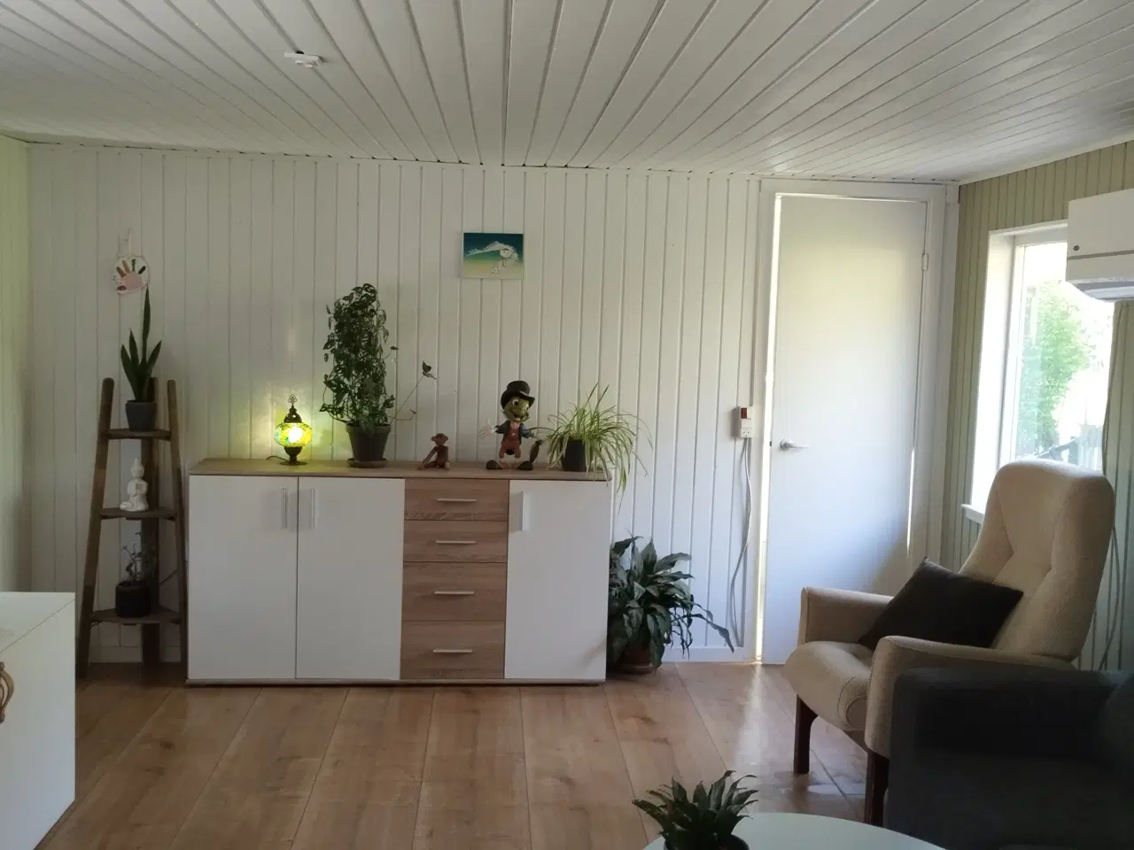 Billede 2 - Kolonihave Odense 