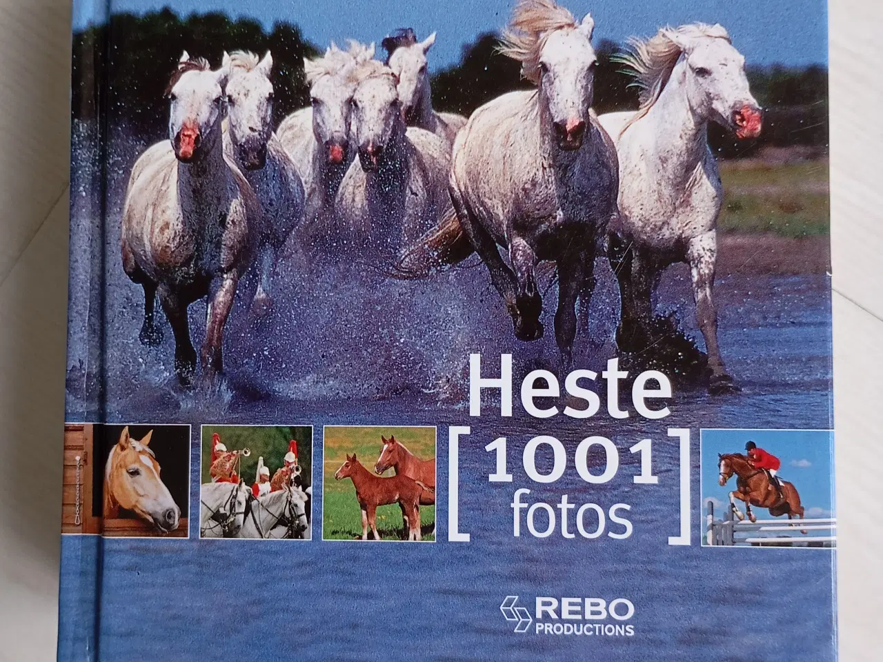 Billede 1 - Heste 1001 Fotos