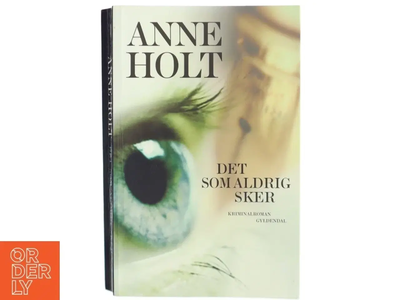 Billede 1 - Det som aldrig sker af Anne Holt (f. 1958-11-16) (Bog) fra Gyldendal