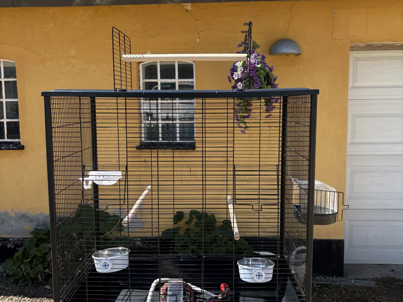 Billede 2 - Flot fuglebur 