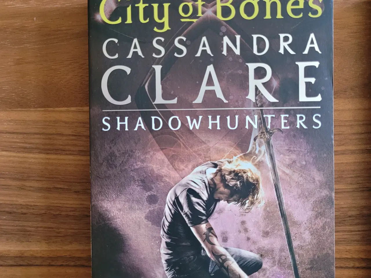 Billede 2 - The Mortal Instruments serien, Cassandra Clare