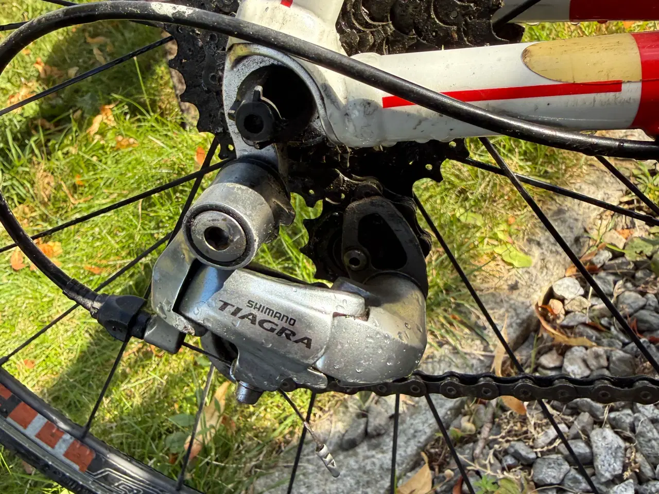 Billede 4 - Junior racercykel sælges