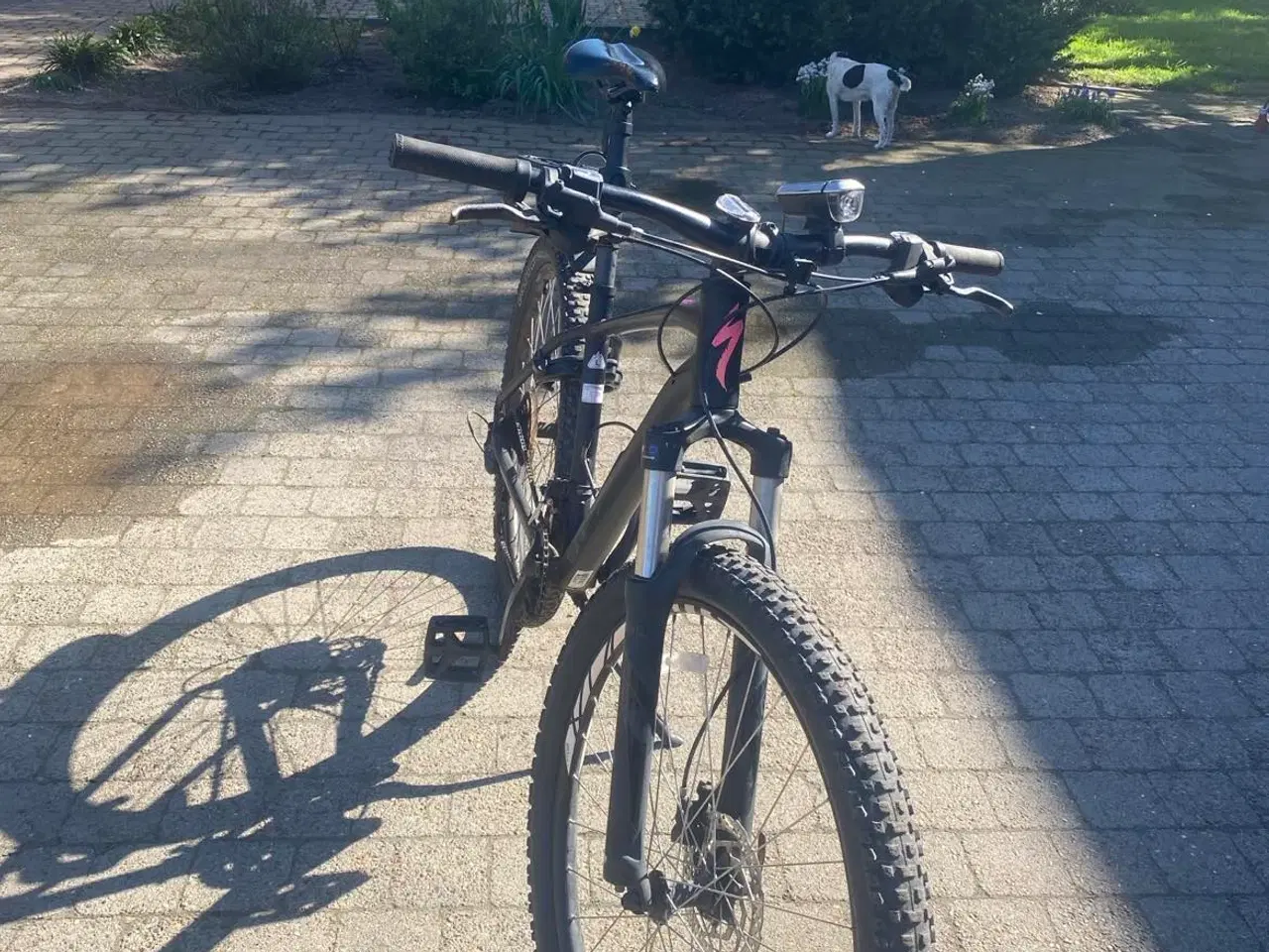 Billede 3 - Specialized mountain Bike