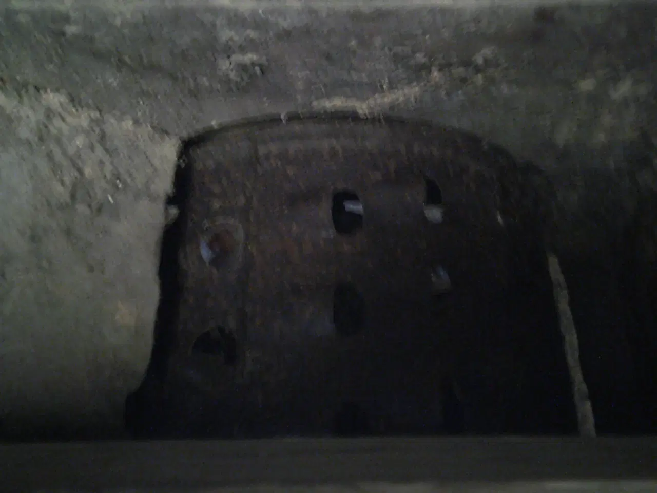 Billede 3 - Roe rasper