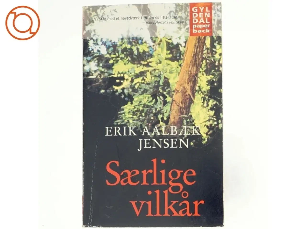 Billede 1 - Særlige vilkår : roman af Erik Aalbæk Jensen (Bog)