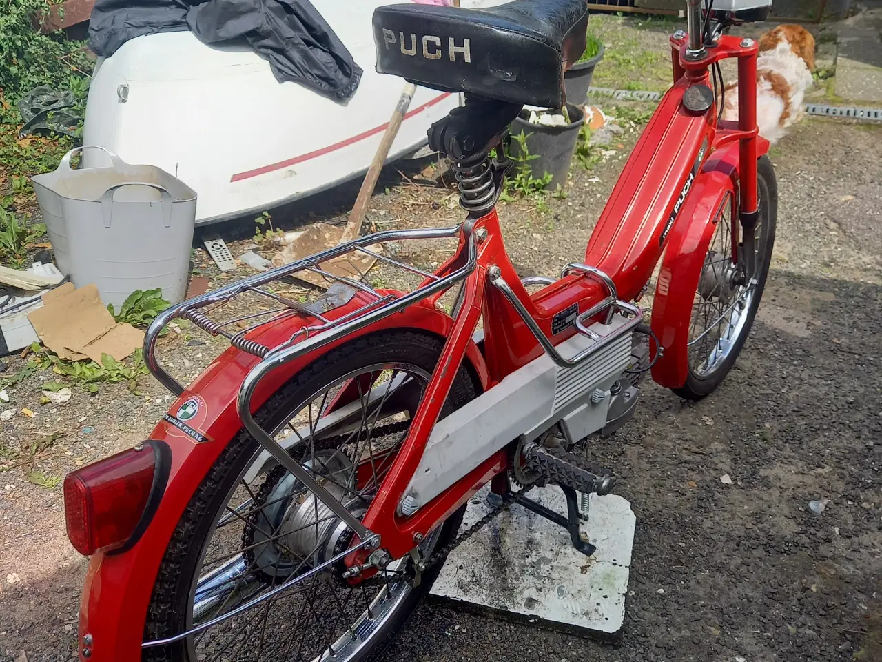 Billede 1 - Puch maxi  p