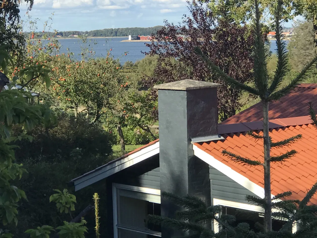 Billede 9 - Villa / landsted ud til limfjorden