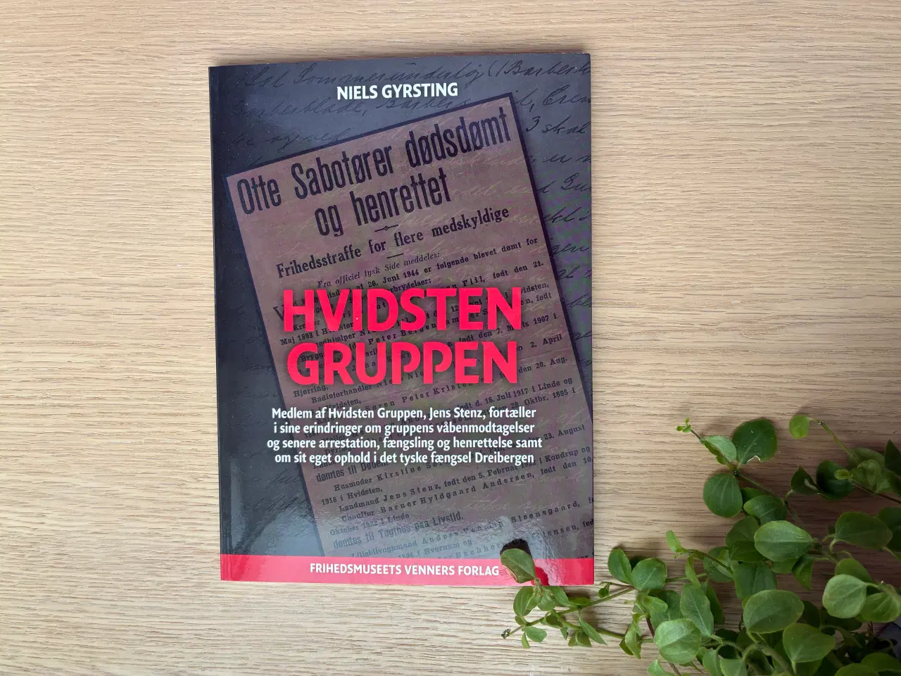 Billede 1 - HVIDSTEN GRUPPEN af Niels Gyrsting