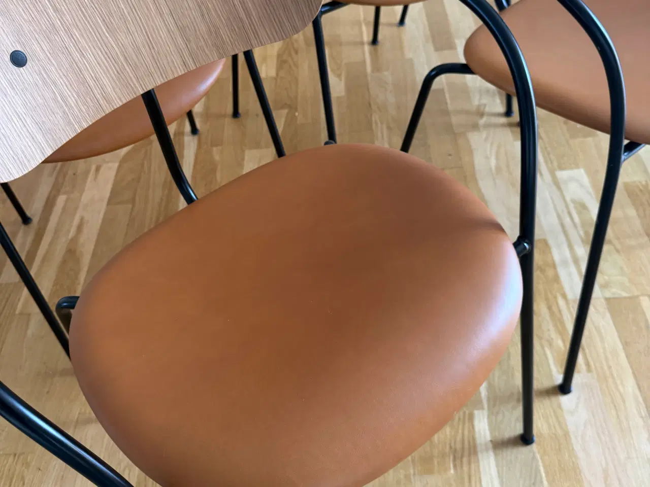 Billede 2 - &tradition av2 