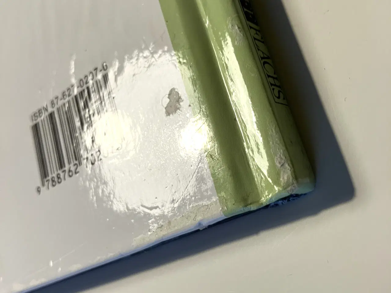 Billede 14 - Triastidens dinosaurer. Af Rupert Matthews