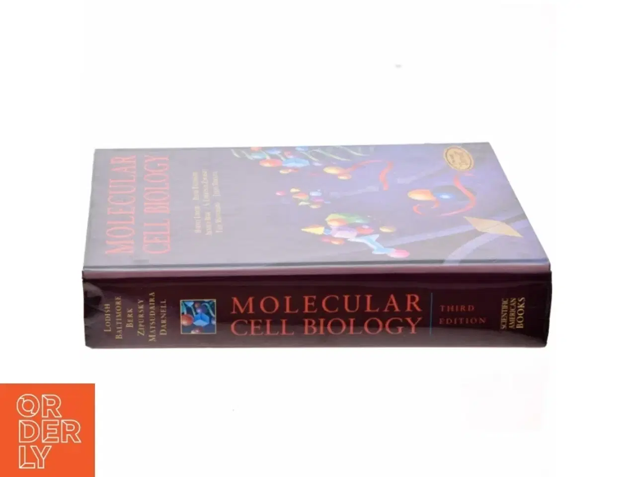 Billede 2 - Molecular cell biology (Bog)