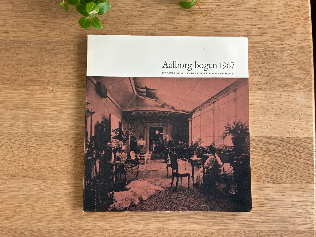 Billede 1 - Aalborg-bogen 1967