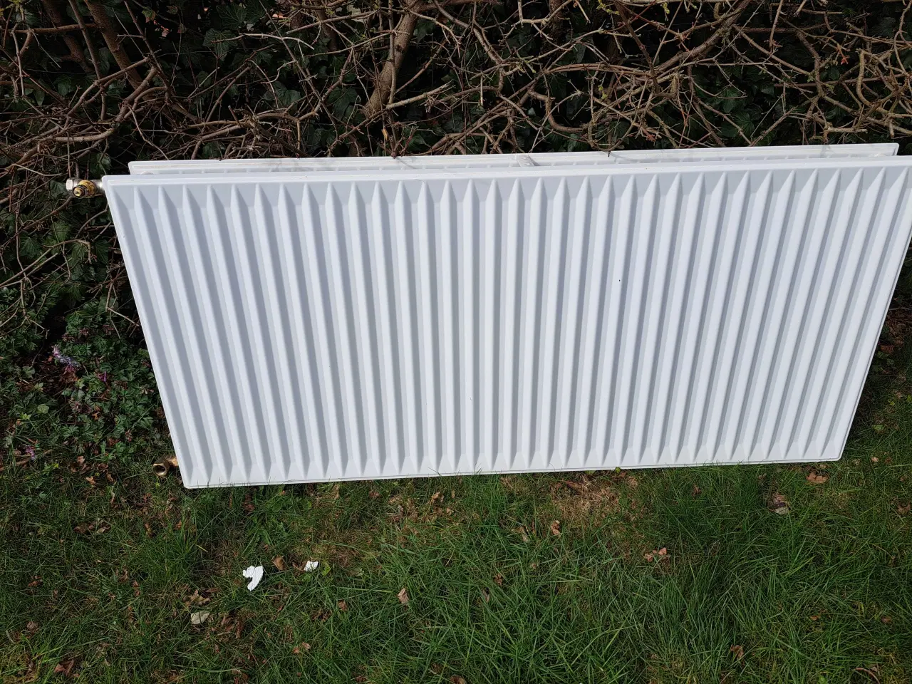 Billede 1 - Radiator 55x 120 cm