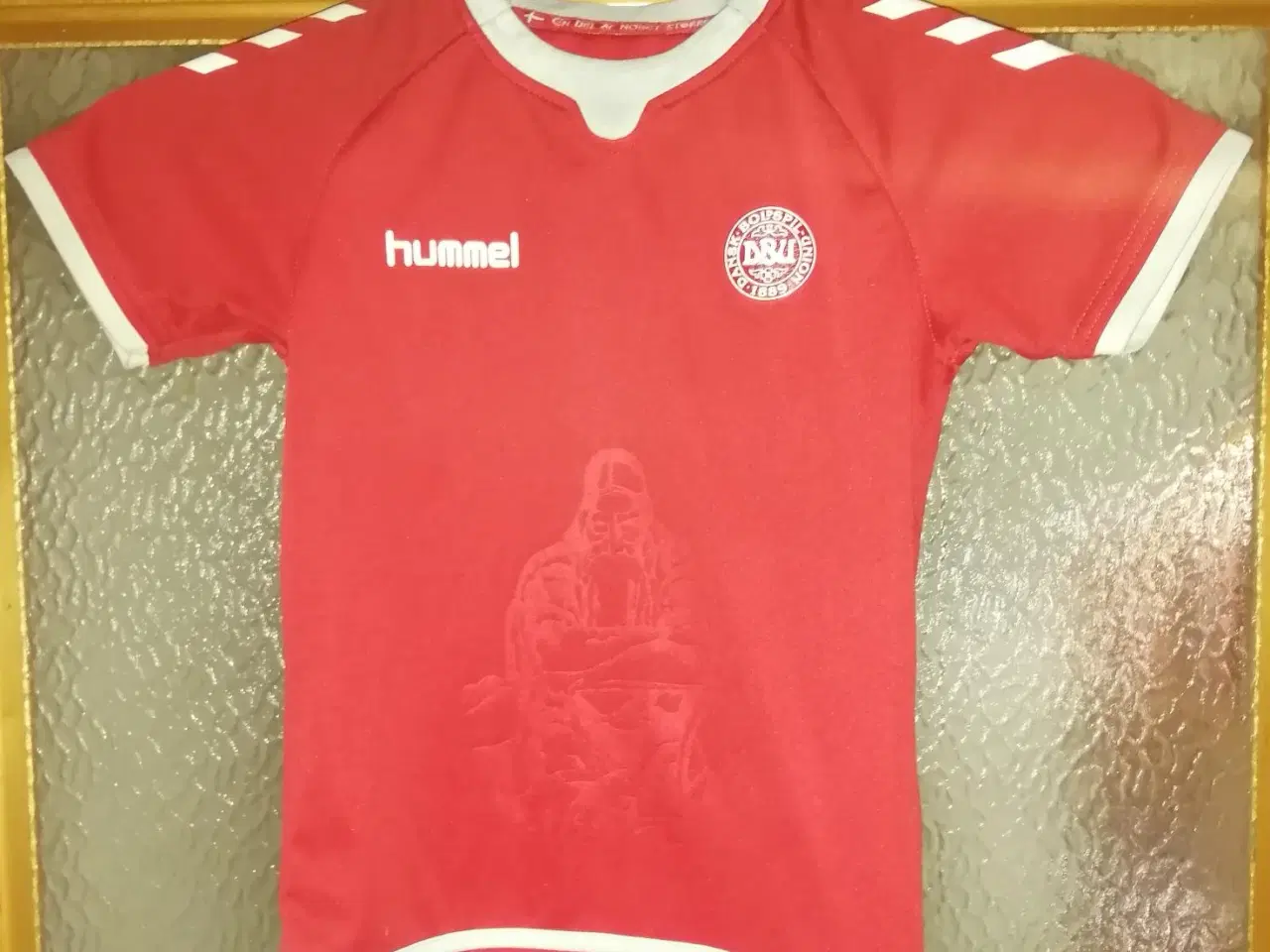 Billede 1 - DANMARK HJEMMEBANE 2016-17, STR 5-6 ÅR