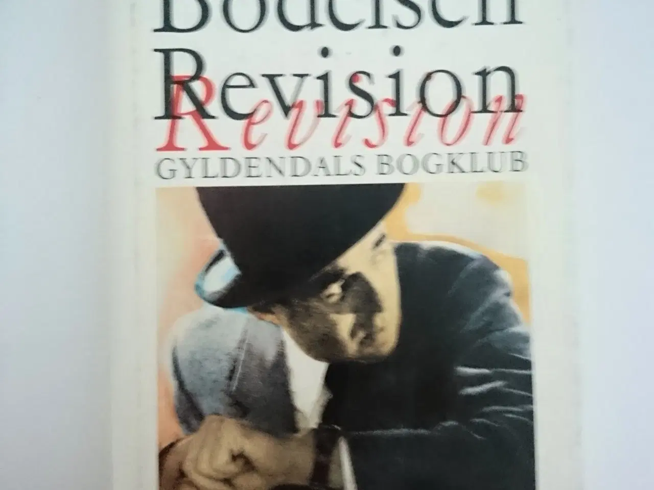 Billede 1 - Revision. Af Anders Bodelsen