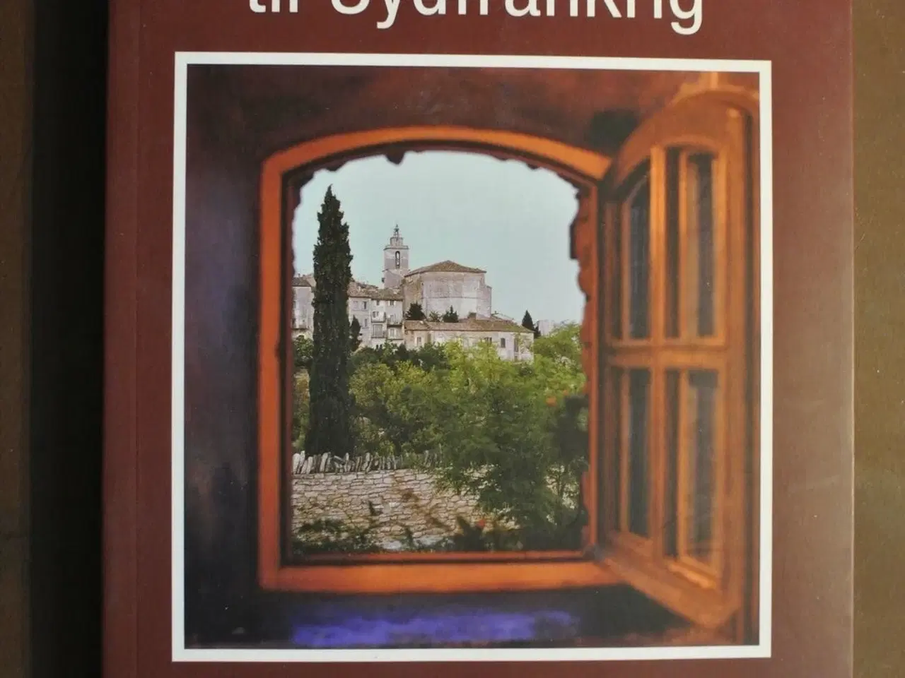 Billede 1 - enkeltbillet til sydfrankrig - en praktisk guide t