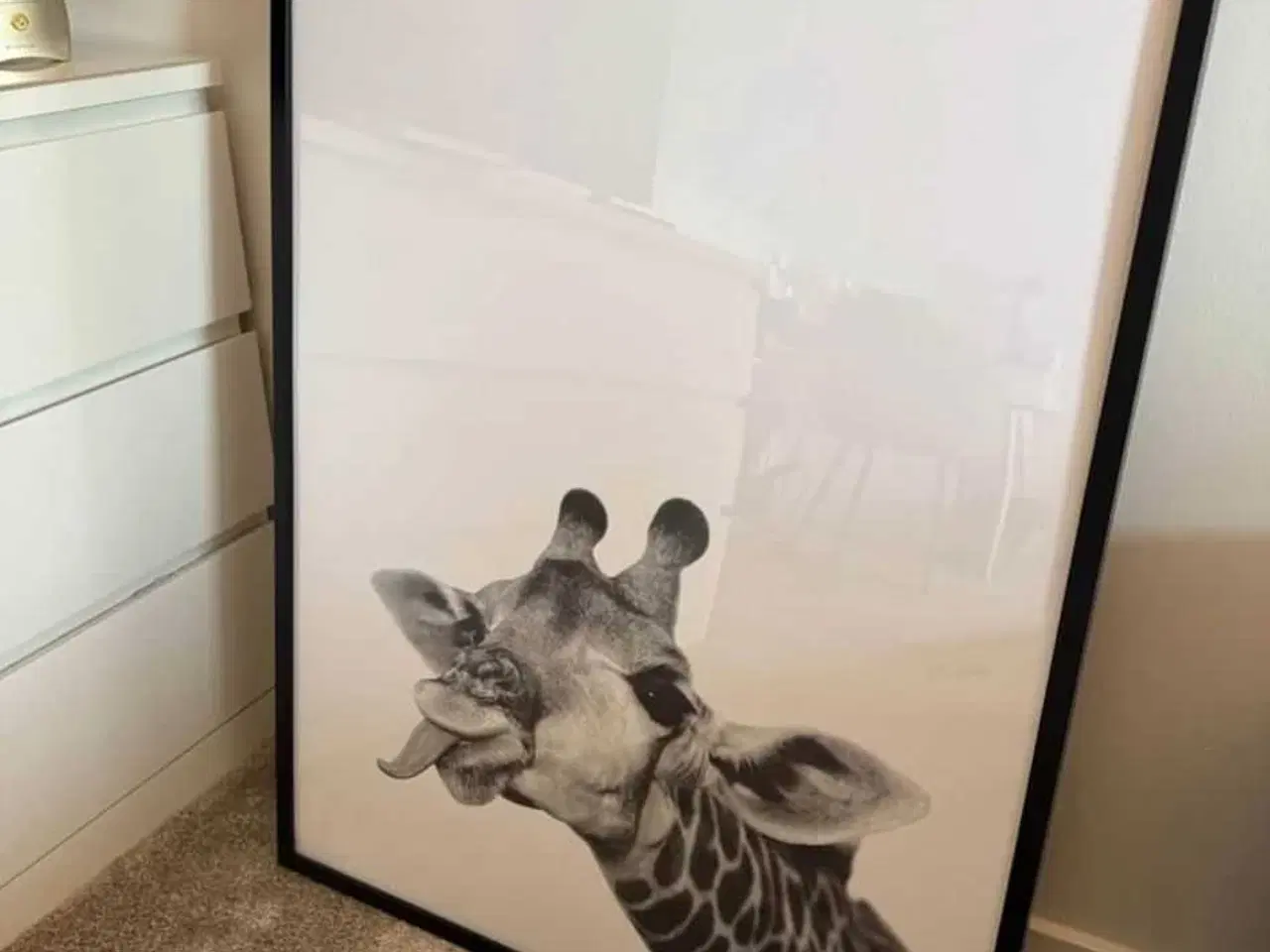 Billede 5 - Plakater med rammer.