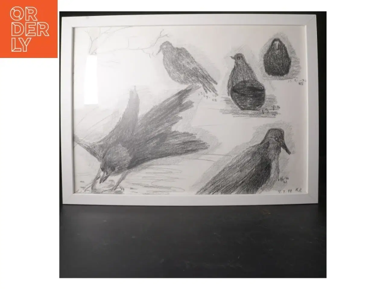 Billede 1 - Indrammet tegning af fugle fra IKEA (str. 43x33,5 cm)