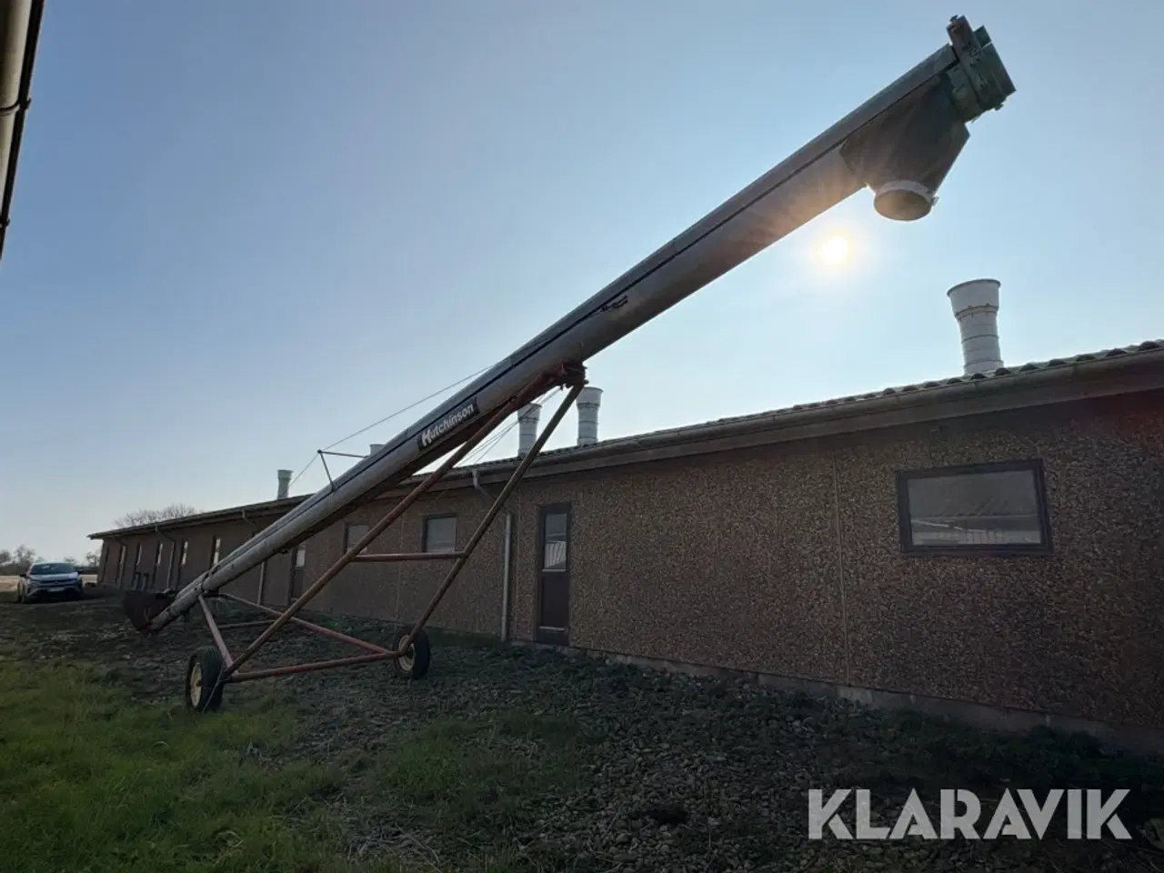 Billede 4 - Kornsnegl Hutchinson