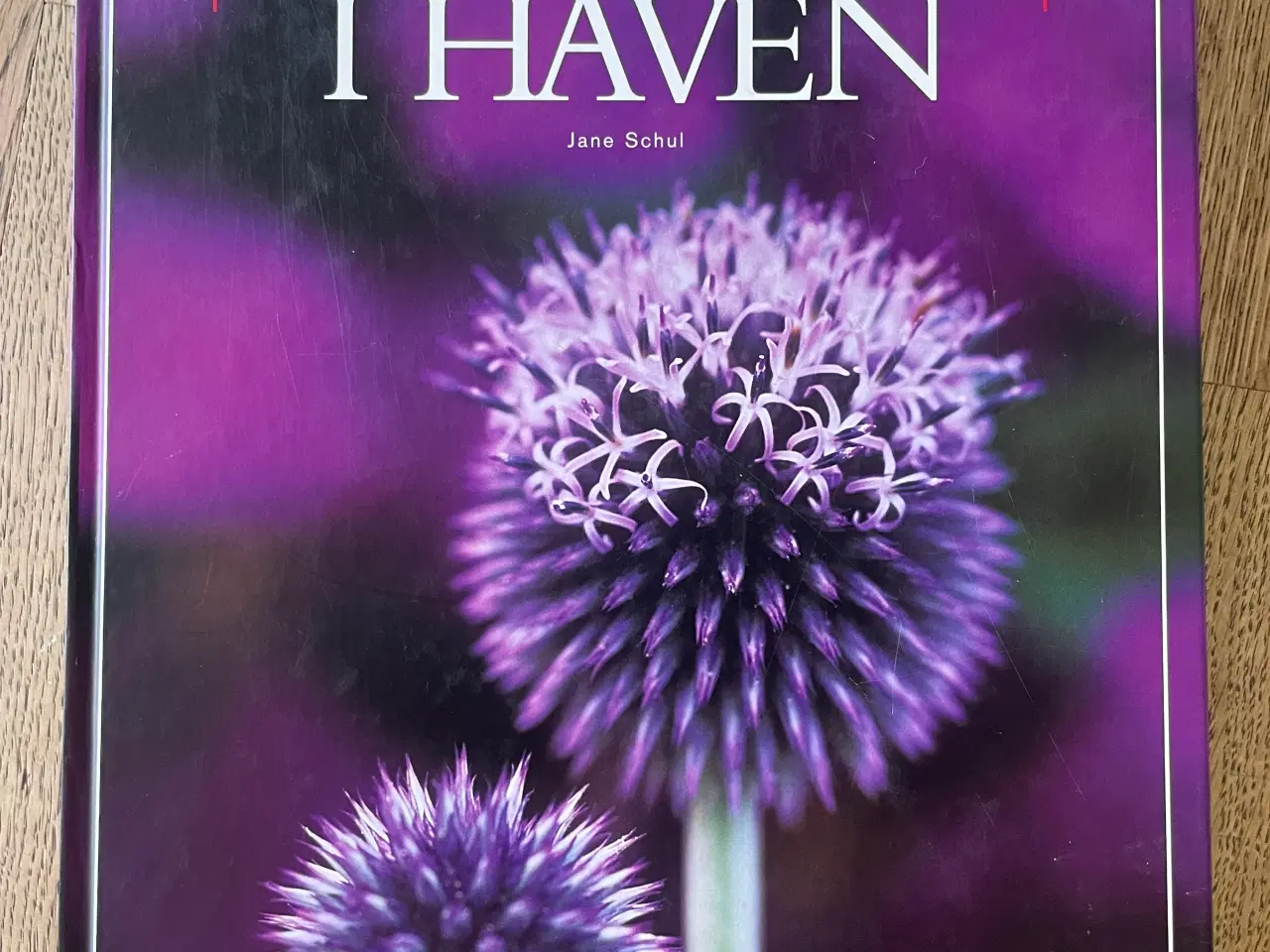 Billede 1 - Farver i haven, Jane Schul