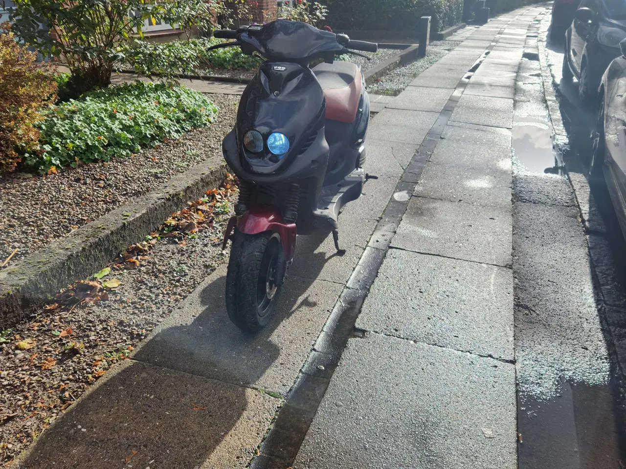 Billede 5 - Pgo pmx 
