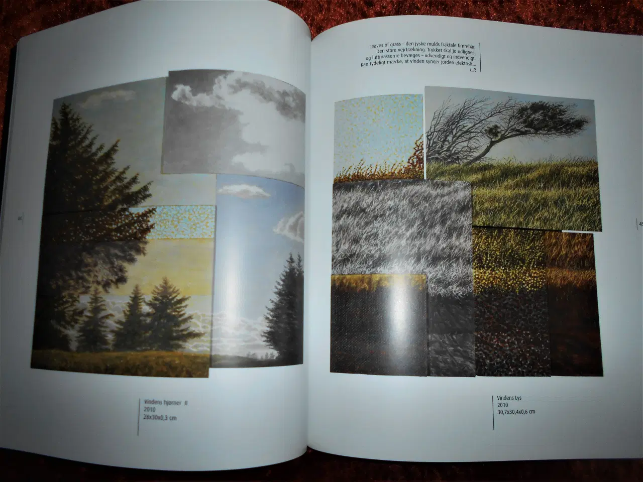 Billede 2 - Simultan perception,  Lars Physant