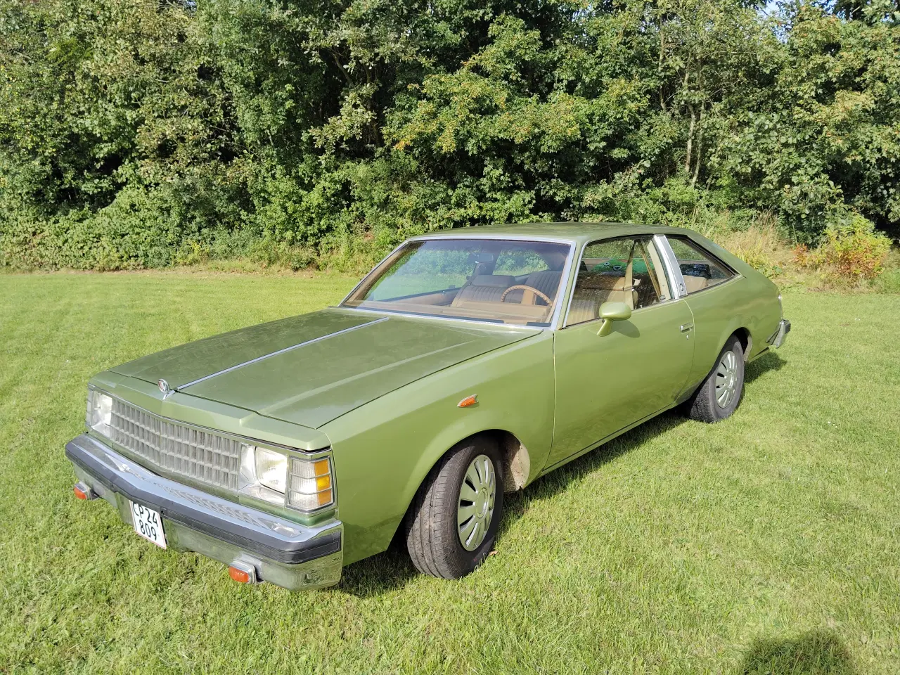 Billede 3 - Buick century coupe 
