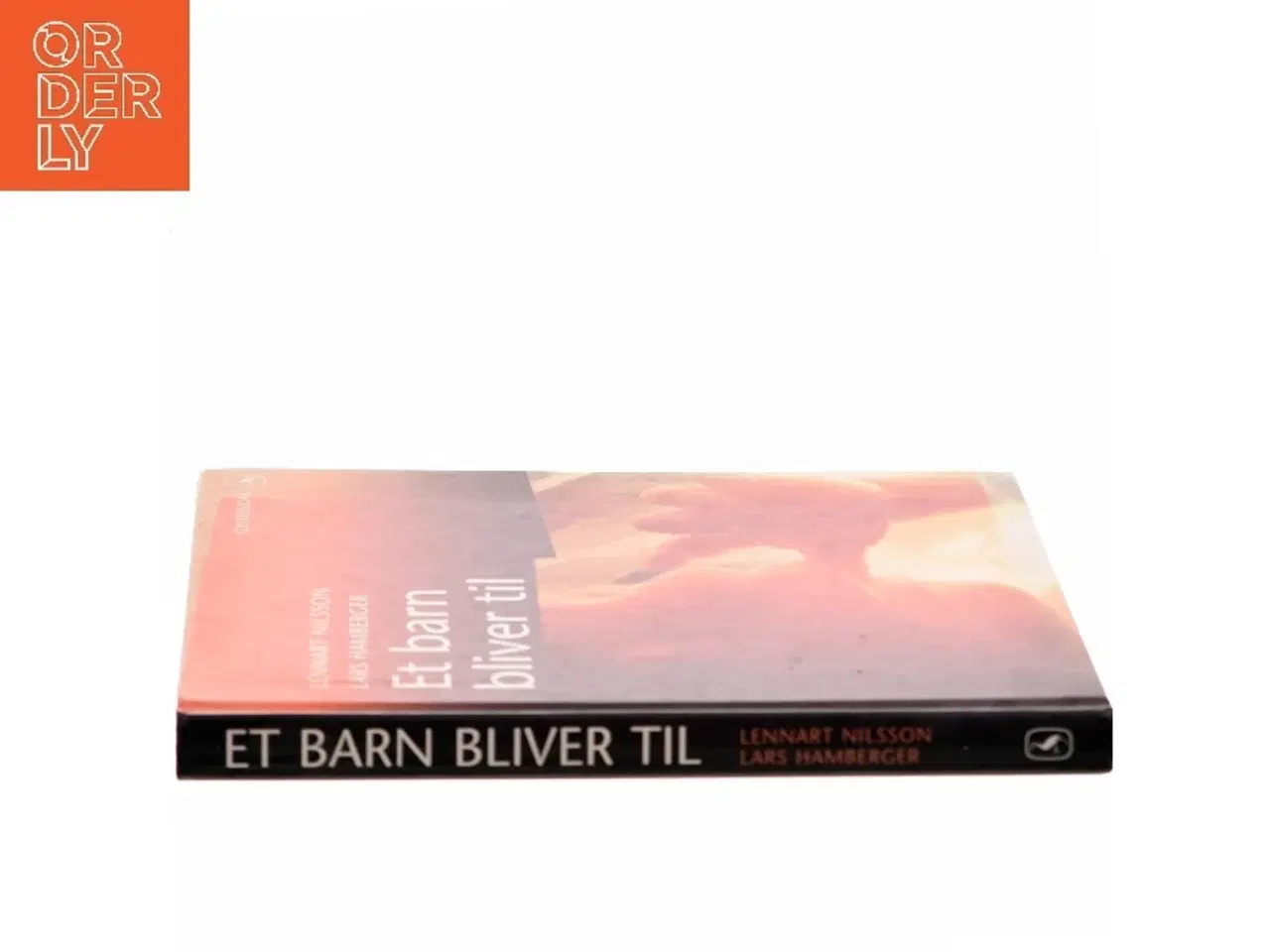 Billede 2 - Et barn bliver til (Bog)