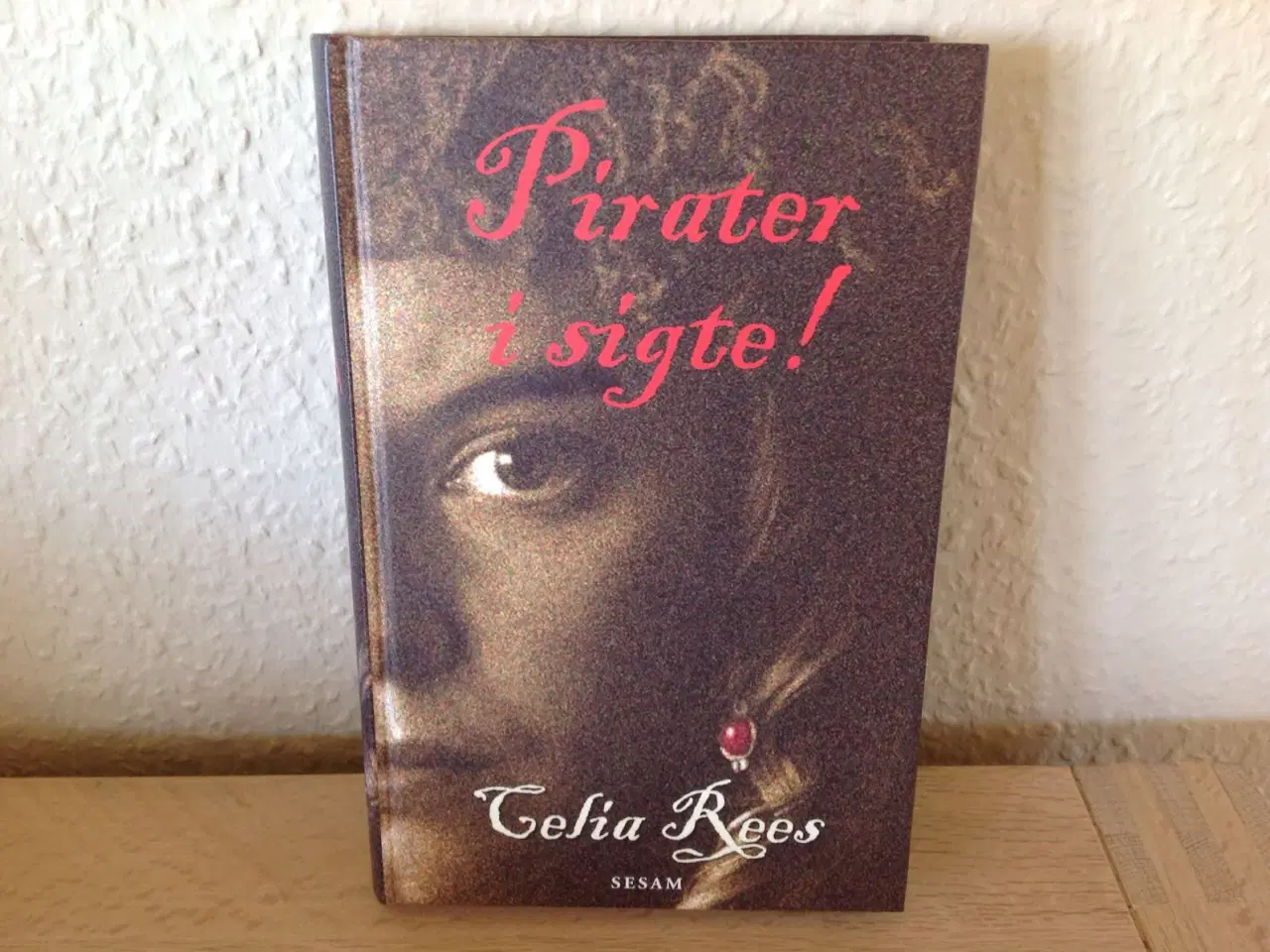 Billede 1 - Pirater i sigte