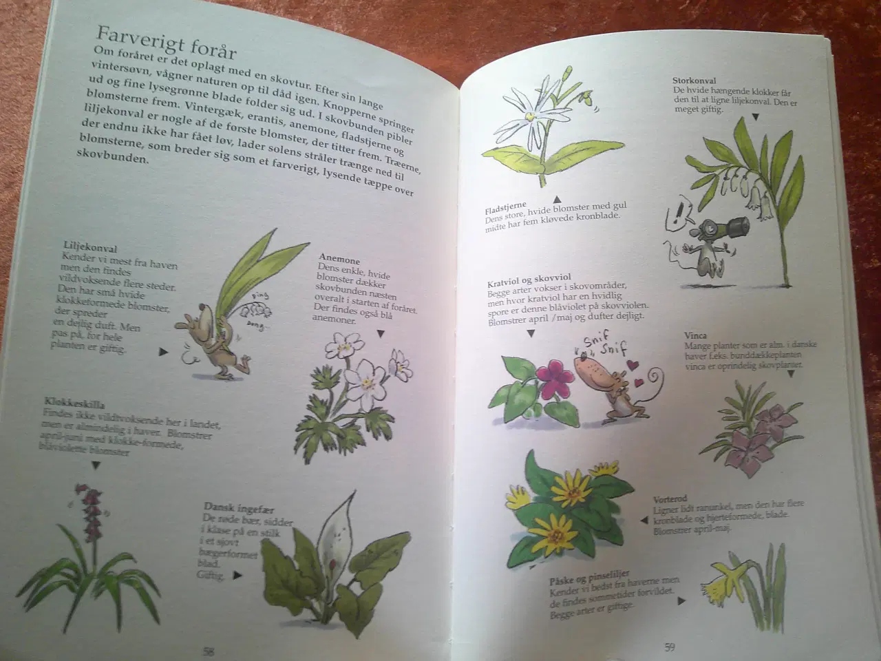 Billede 4 - Skoven, Jean-Benoît Durand, Georges Feterman,